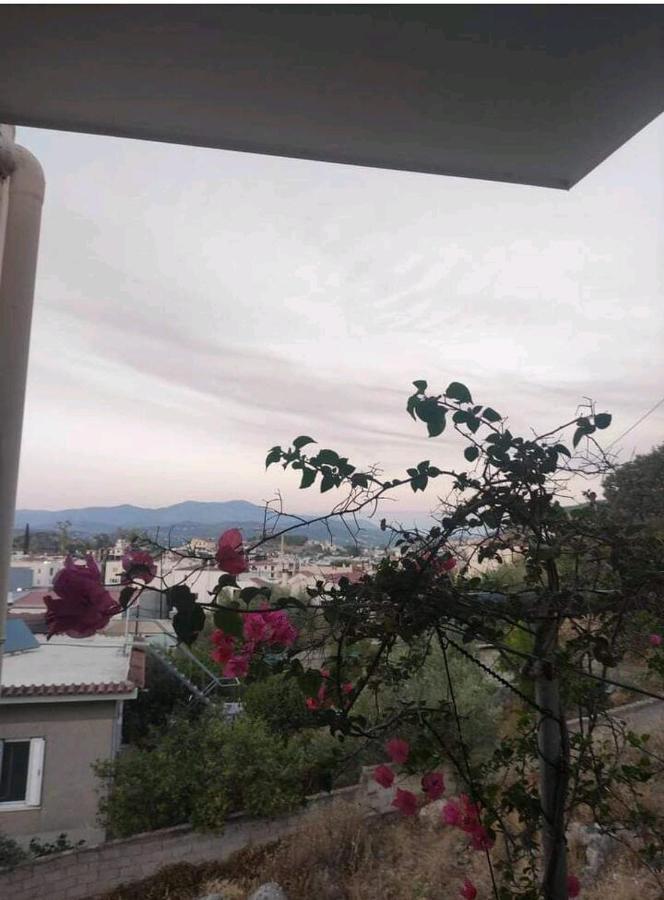 Όμορφο Και Ευρύχωρο Διαμέρισμα Με Θέα! Nafplio Exterior photo